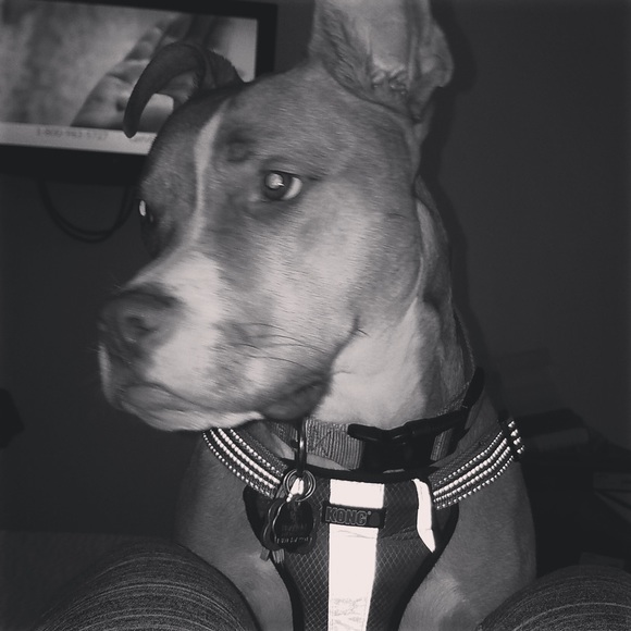 Meet your Posher, Tracy - Picture 2 of 8